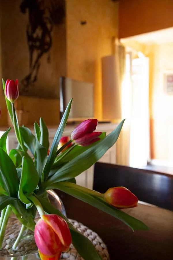 Apartment Casa Vacanze Le Tre Casette Ameglia Italy